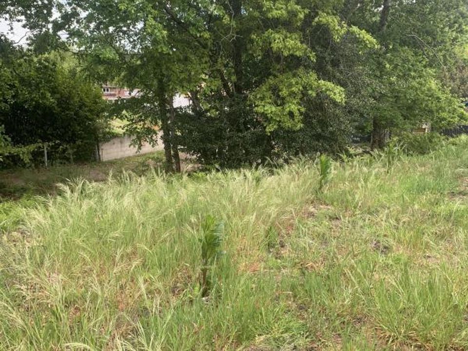 Villa i Sanguinet, Landes - bilde 1