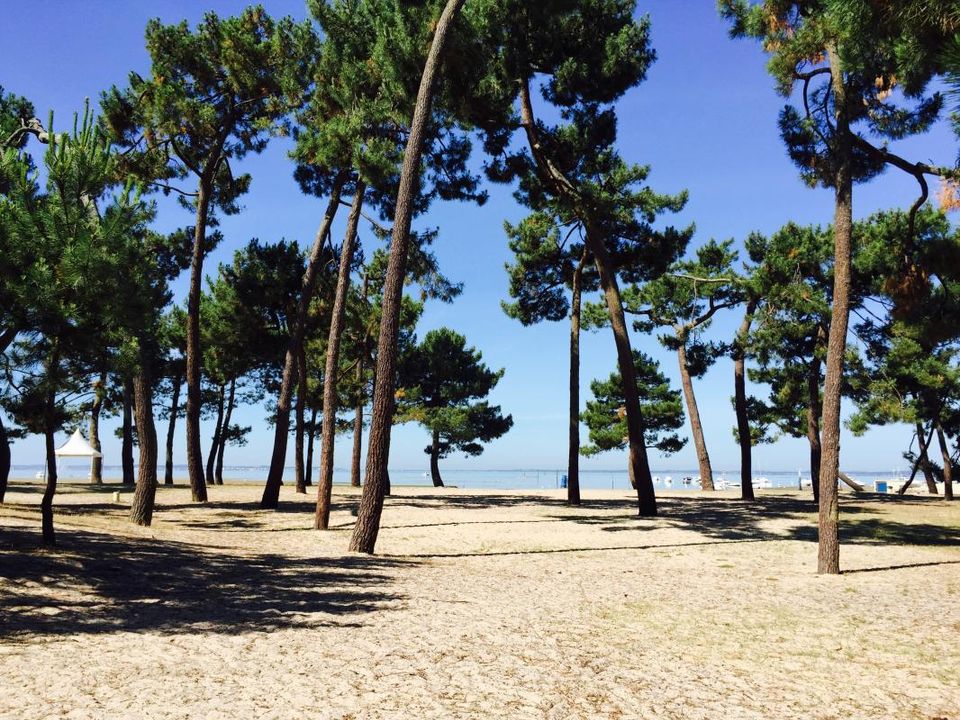 Villa i Andernos-les-Bains, Gironde - foto 3