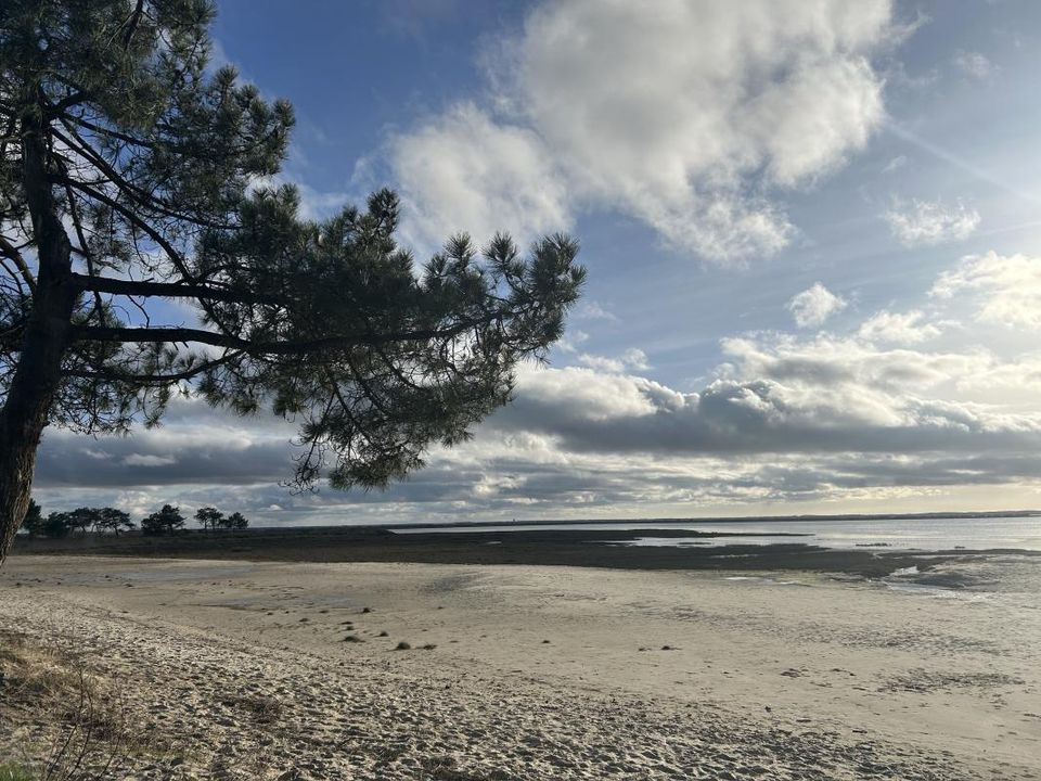 Villa en Lanton, Gironde - foto 3