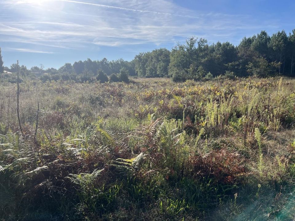 Grond in Arsac, Gironde - foto 1