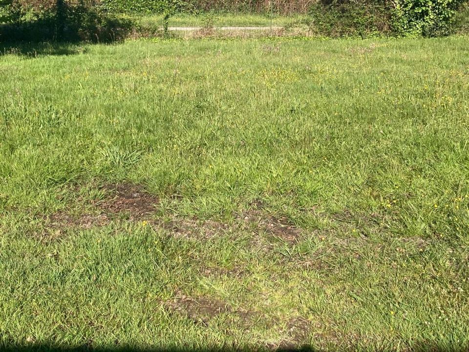 Helårsgrund i Parentis-en-Born, Landes - foto 1
