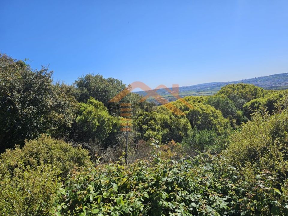Helårsgrund i Santo Antao do Tojal, Lisbon - foto 3