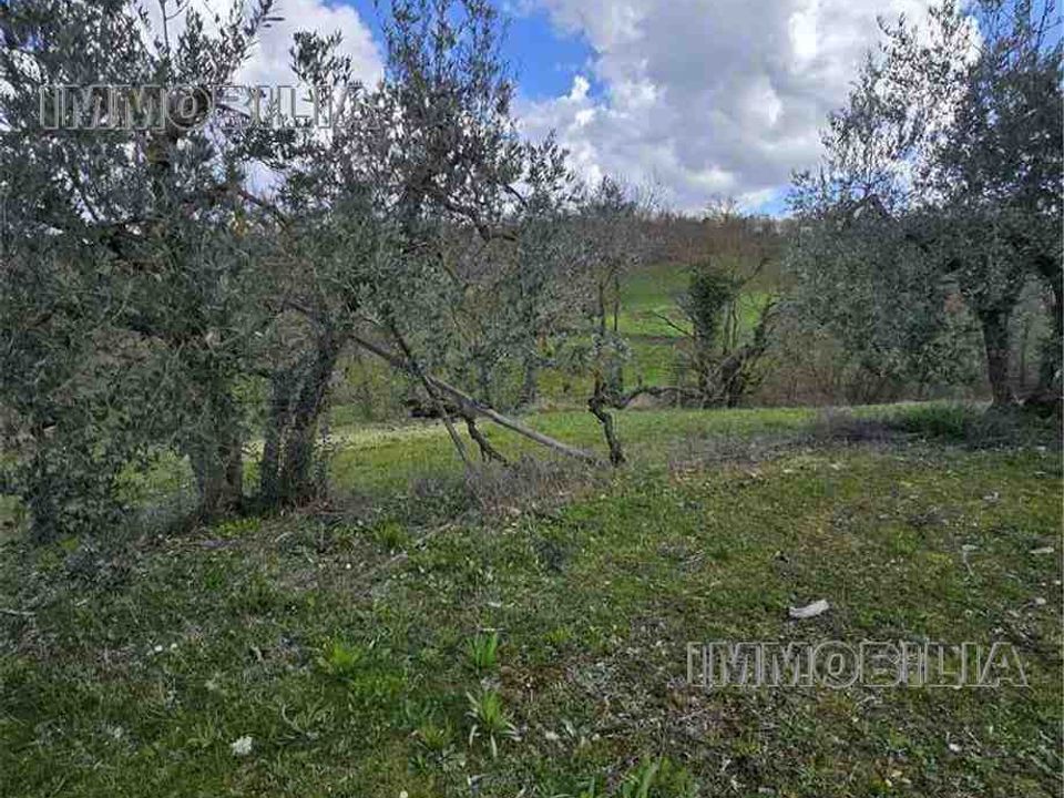Helårsgrund i Monterchi, Arezzo - foto 4