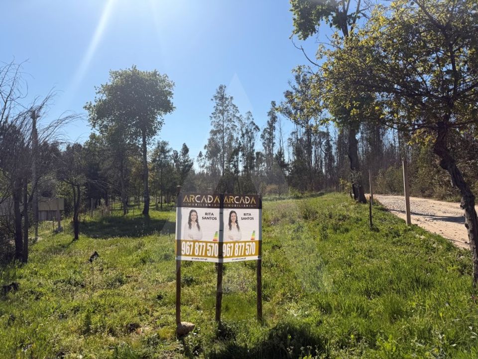 Helårsgrund i Albergaria-a-Velha, Aveiro - foto 2