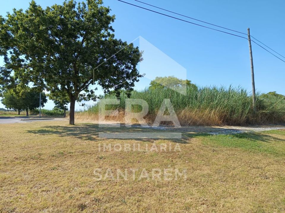 Helårsgrund i Benavente, Santarem - foto 4