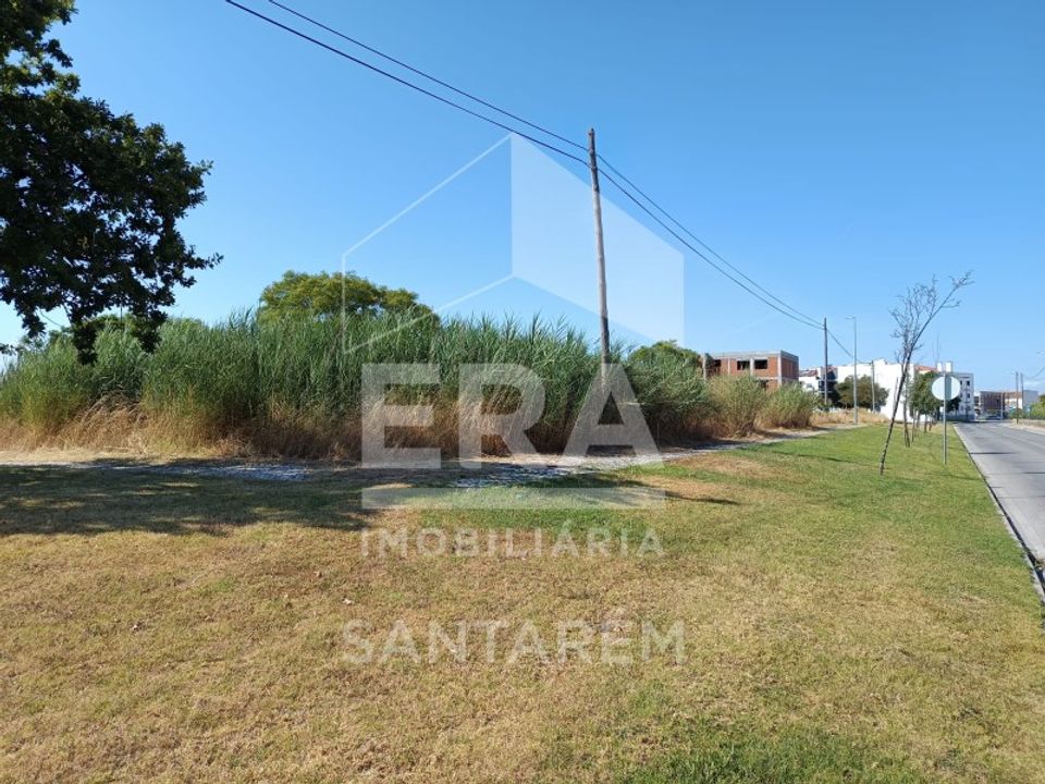 Helårsgrund i Benavente, Santarem - foto 5