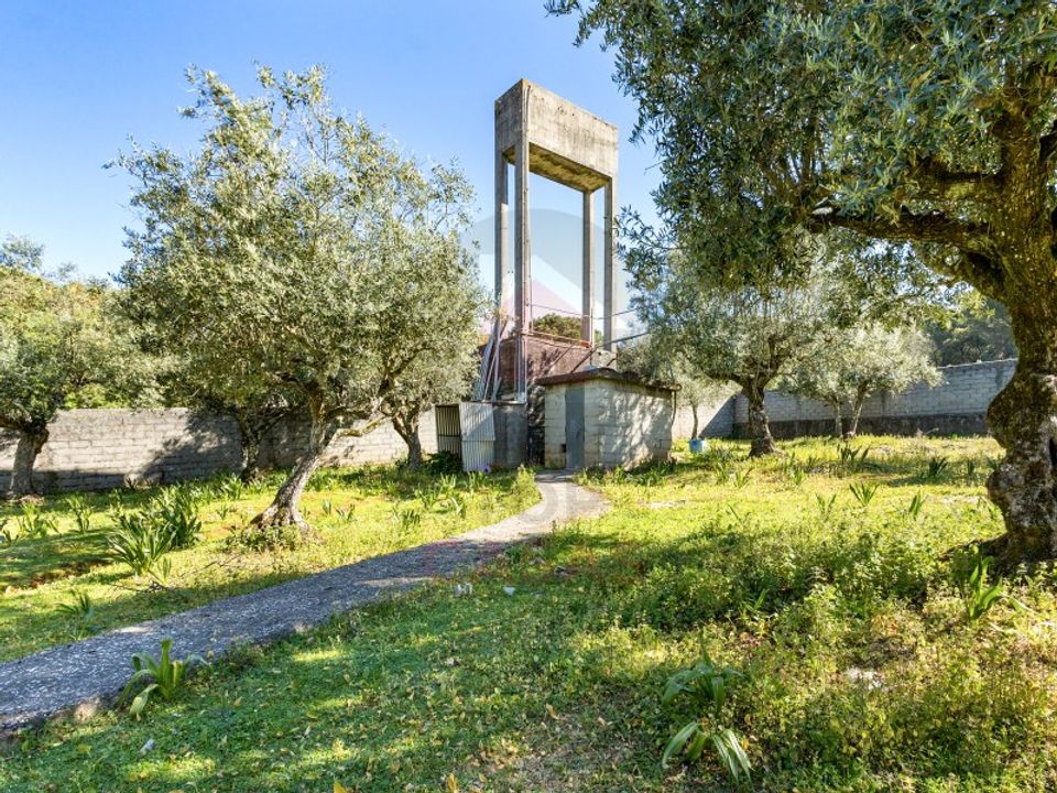 Terra em Minde, Santarem - foto 3