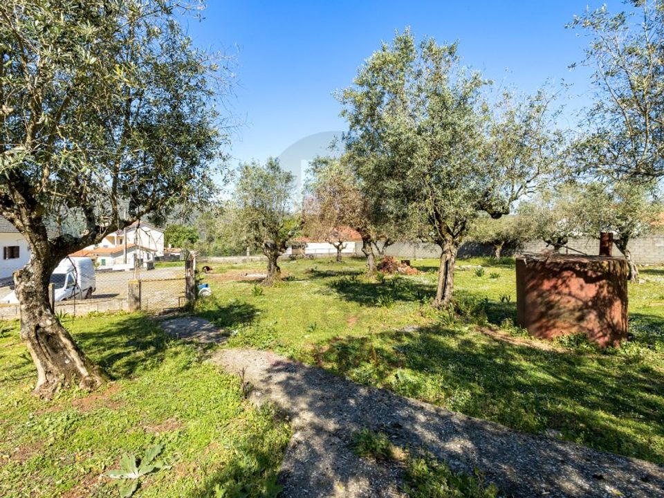Terra em Minde, Santarem - foto 4
