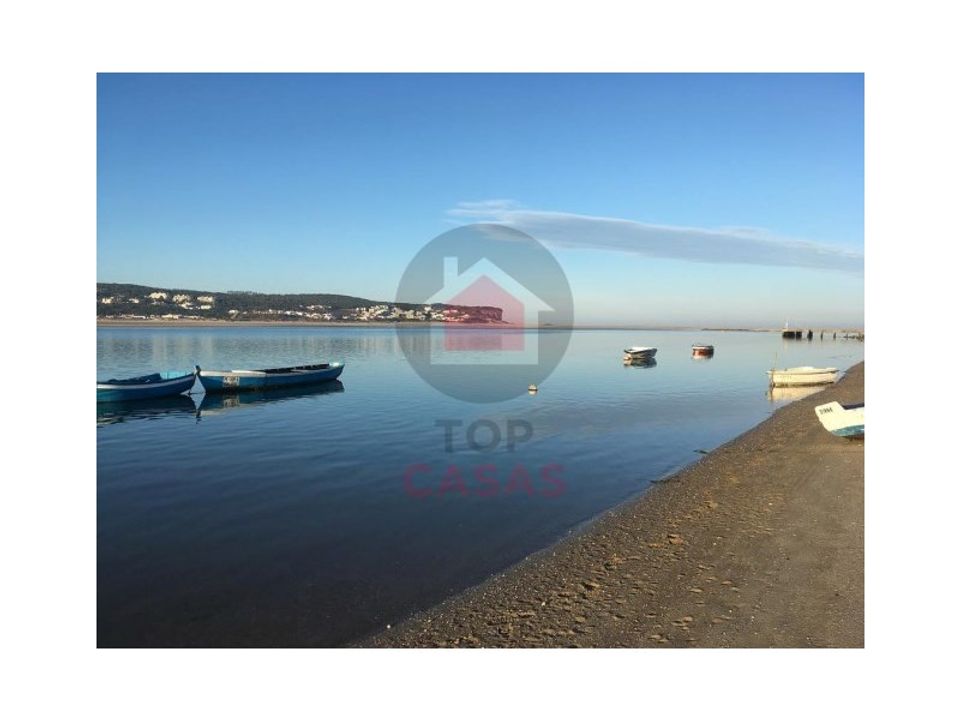 Terra em Minde, Santarem - foto 5
