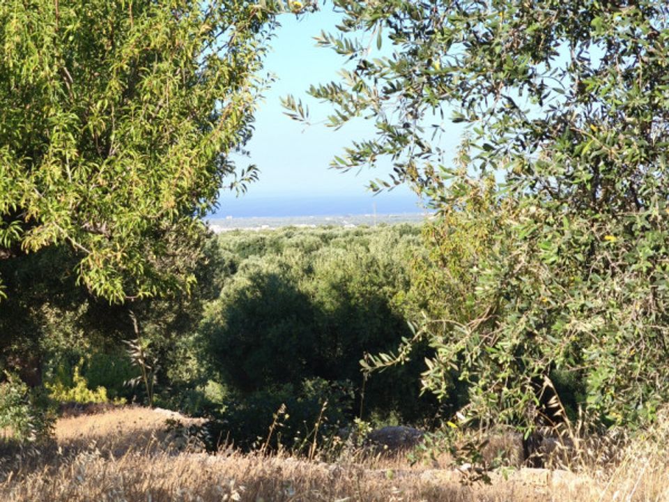 Landejendom i Fasano, Brindisi - foto 2