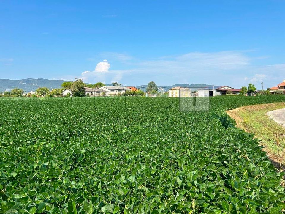 Erhvervsejendom i Castegnero, Vicenza - foto 4