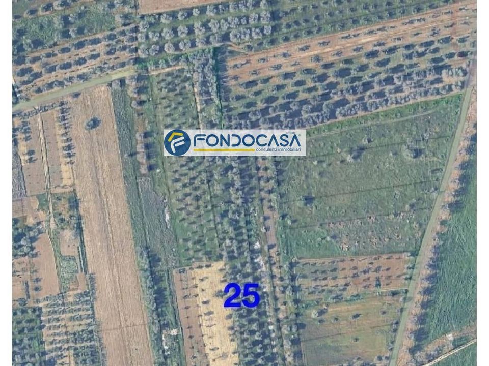 Helårsgrund i Collepasso, Lecce - foto 3