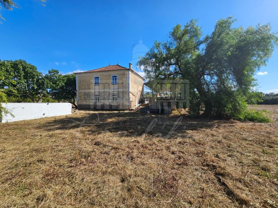 Farm i Torres Novas, Santarem - foto 4