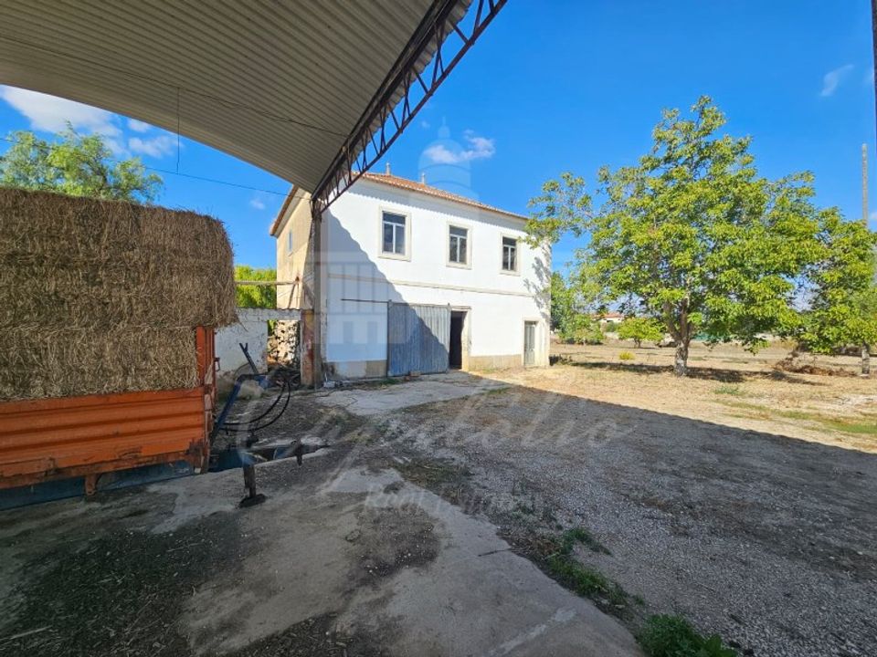 Farm i Torres Novas, Santarem - foto 5