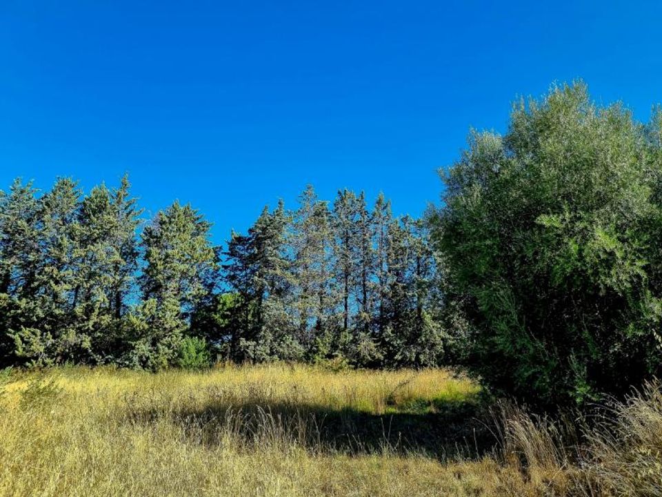 Land in Pouzols, Herault - photo 5
