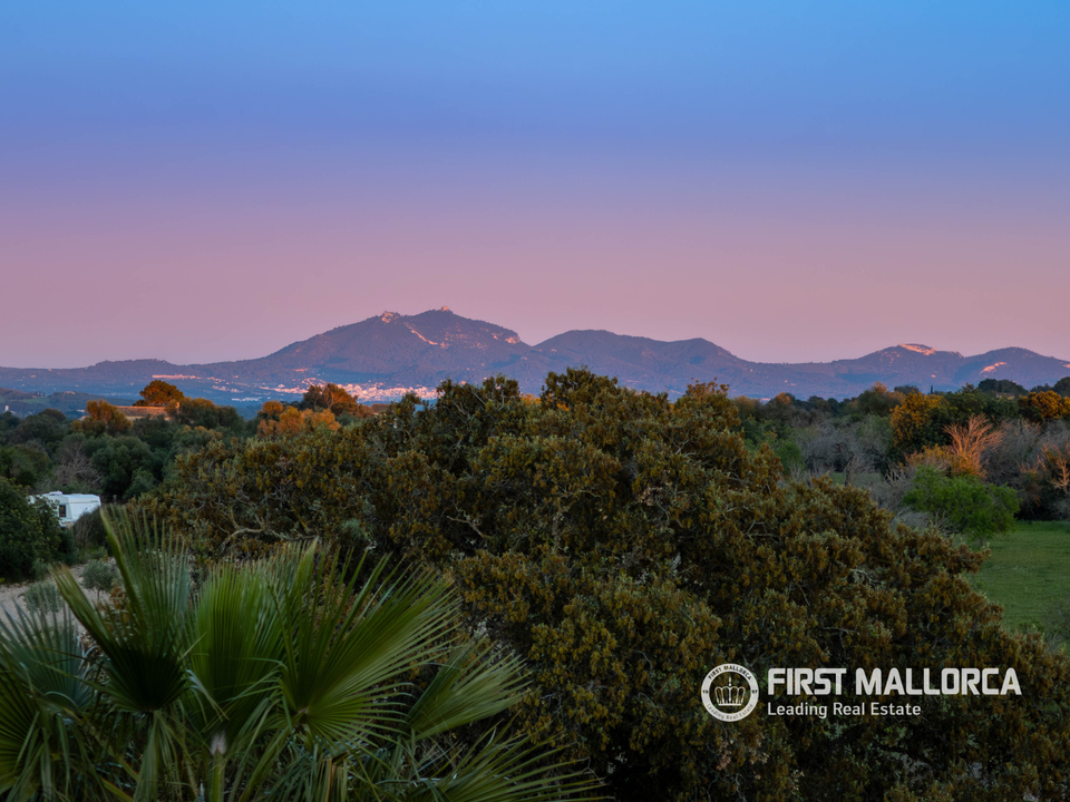 Landejendom i Montuiri, Mallorca - foto 3