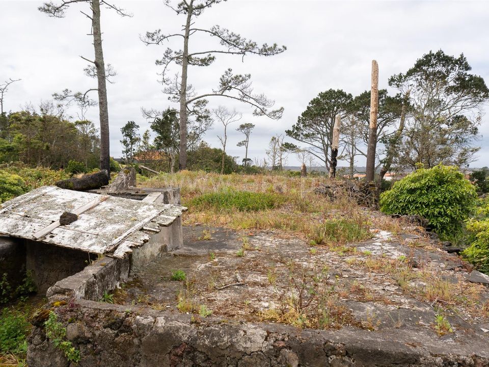 Helårsgrund i Madalena, Pico - foto 5