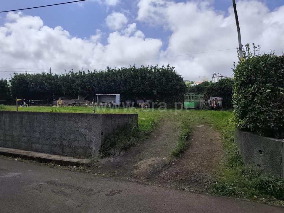 Helårsgrund i Santa Cruz das Flores, Flores - foto 3