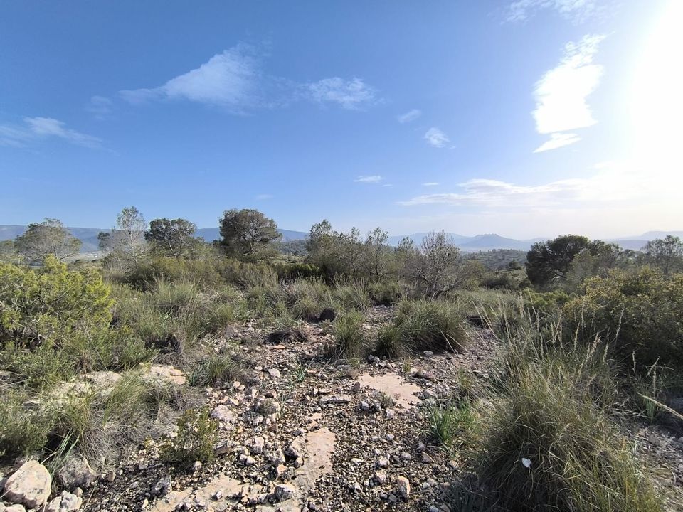 Helårsgrund i Yecla, Murcia - foto 4