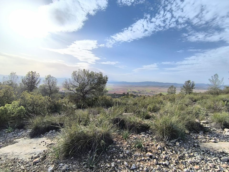Helårsgrund i Yecla, Murcia - foto 5