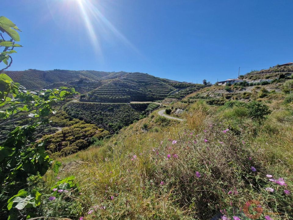 Tomt i Salobrena, Granada - bilde 3