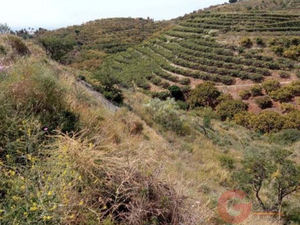Tomt i Salobrena, Granada - bilde 5