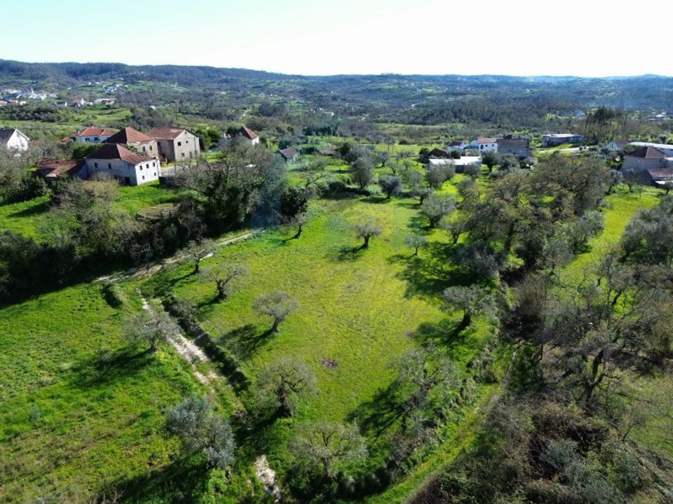 Helårsgrund i Pombal, Leiria - foto 1