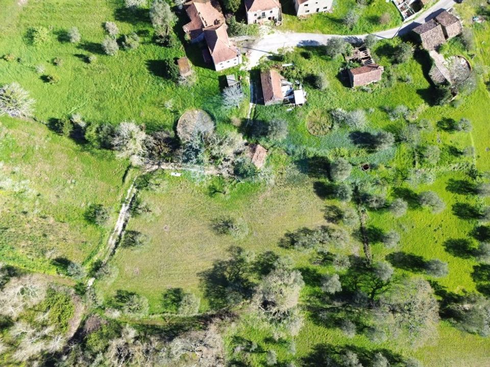 Helårsgrund i Pombal, Leiria - foto 2
