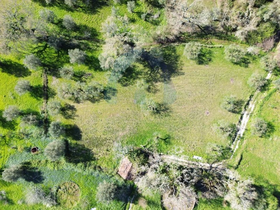 Helårsgrund i Pombal, Leiria - foto 4