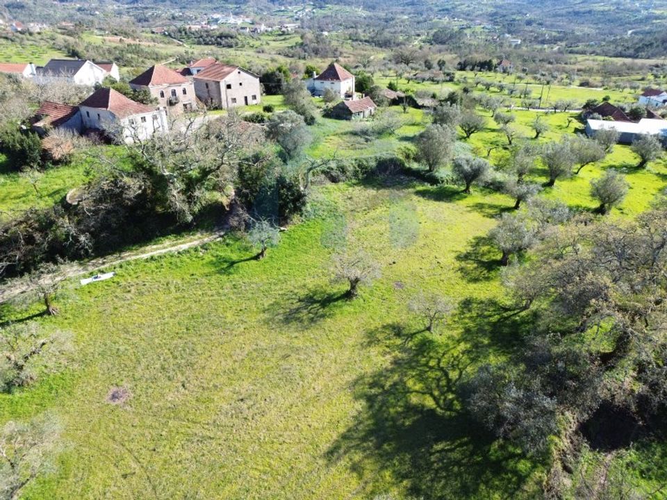 Helårsgrund i Pombal, Leiria - foto 5