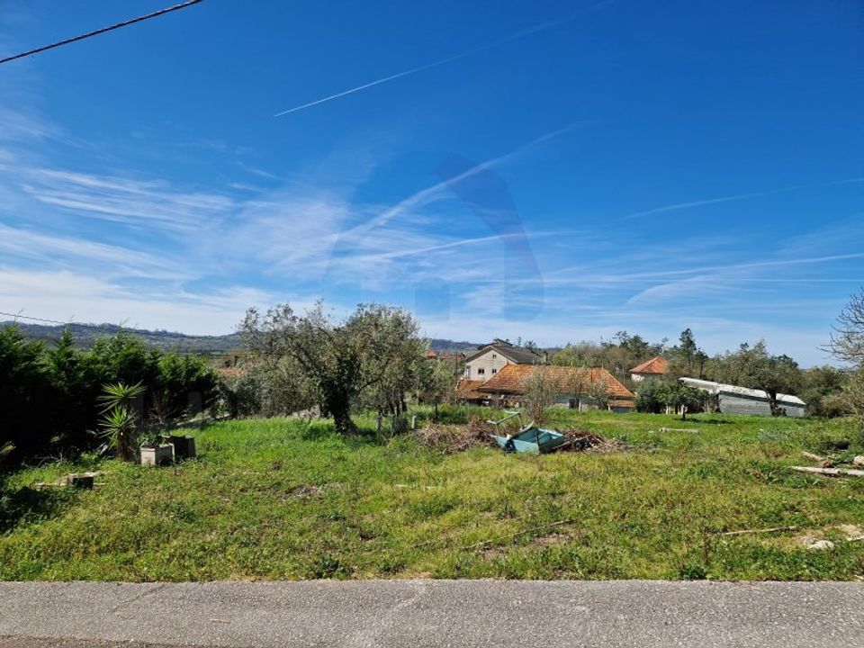 Helårsgrund i Pombal, Leiria - foto 2