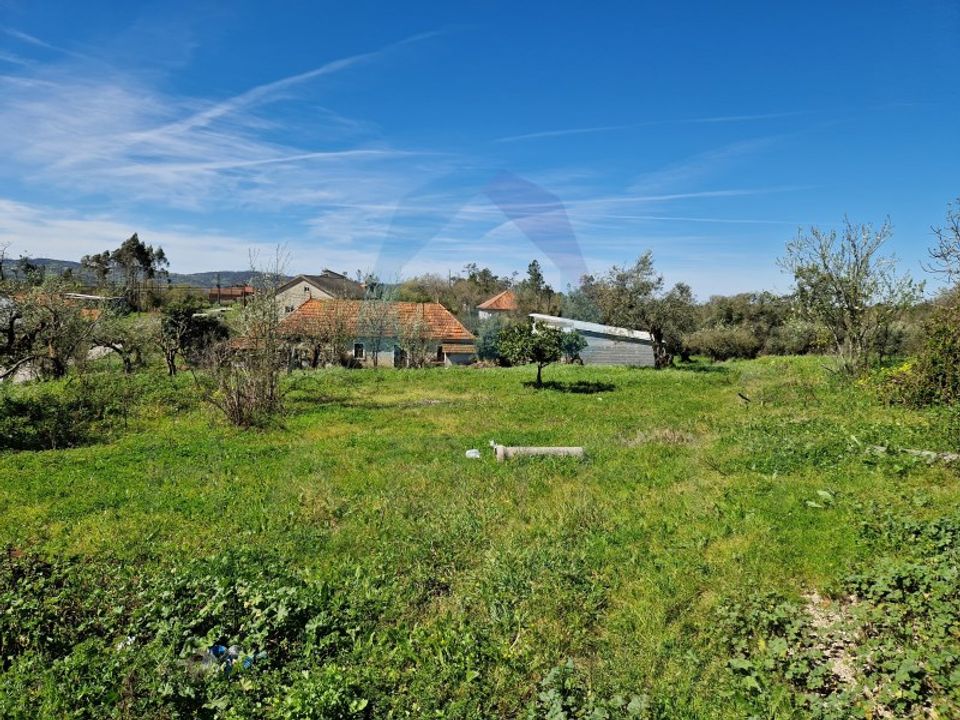 Helårsgrund i Pombal, Leiria - foto 4