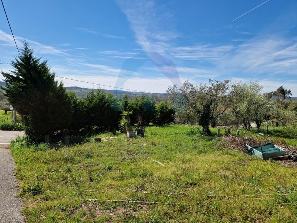 Helårsgrund i Pombal, Leiria - foto 5