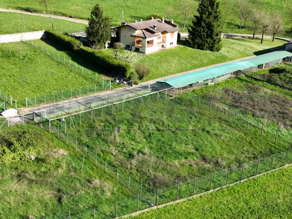 Villa i Castelgomberto, Vicenza - foto 5