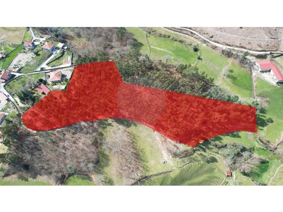 Helårsgrund i Oliveira de Frades, Viseu - foto 3