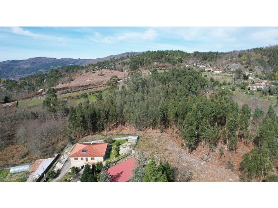 Helårsgrund i Oliveira de Frades, Viseu - foto 4