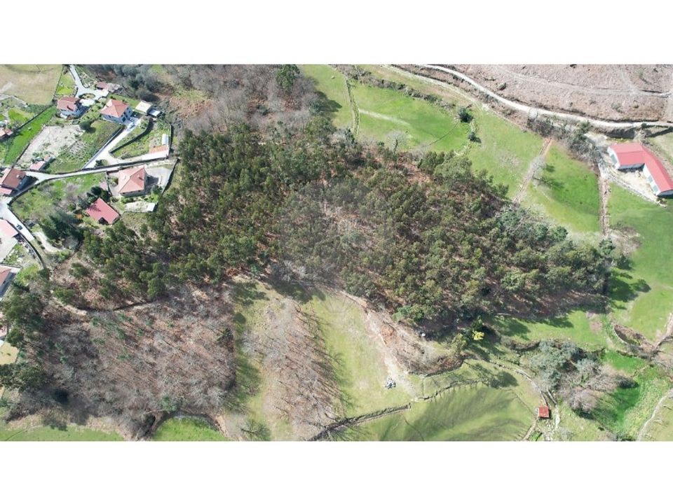 Helårsgrund i Oliveira de Frades, Viseu - foto 5