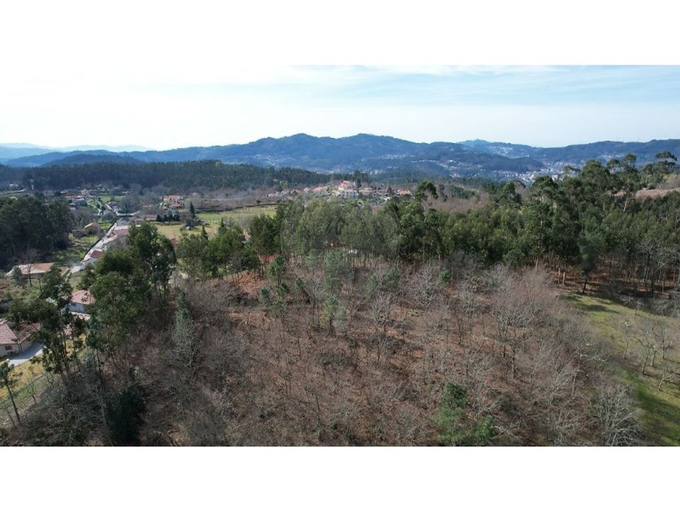 Helårsgrund i Oliveira de Frades, Viseu - foto 5