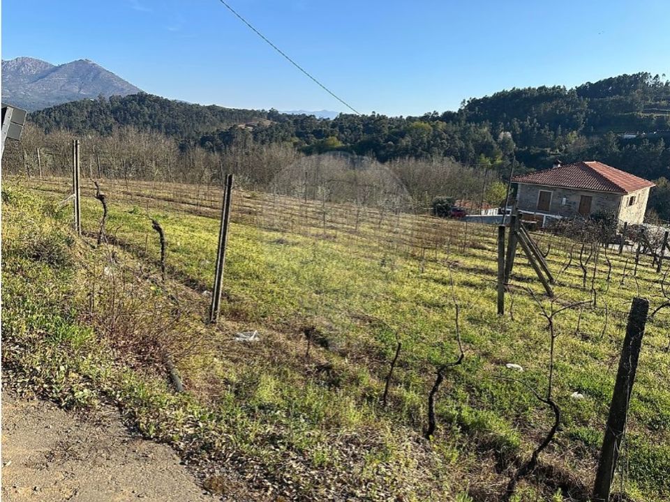 Helårsgrund i Cabeceiras de Basto, Braga - foto 2