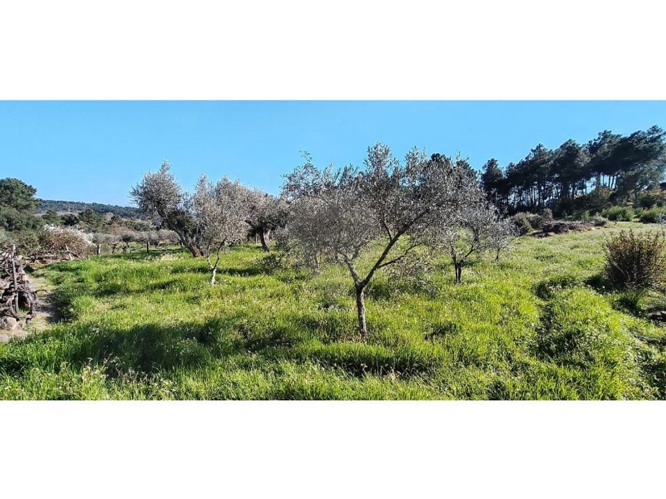 Helårsgrund i Valpacos, Vila Real - foto 4