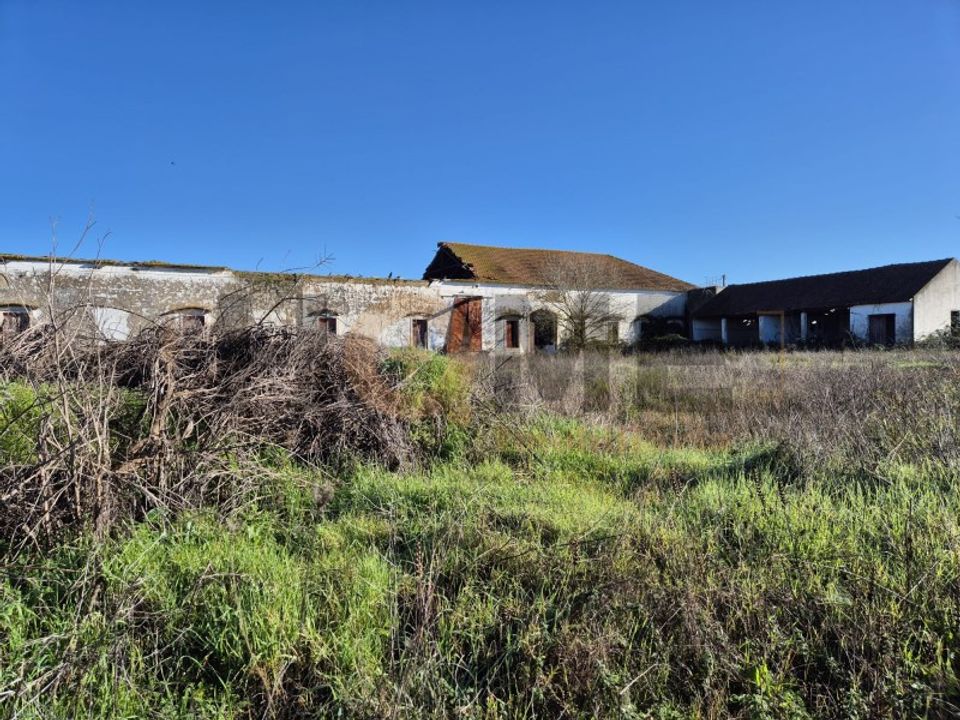 Villa i Alpiarca, Santarem - foto 5
