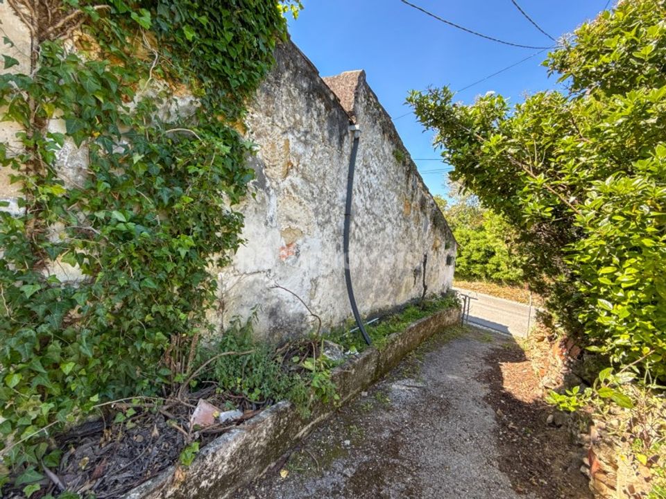 Villa i Torres Novas, Santarem - foto 4