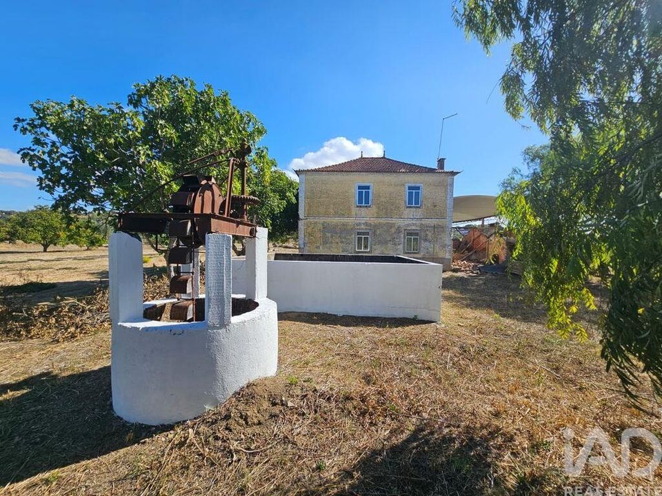 Farm i Torres Novas, Santarem - foto 1