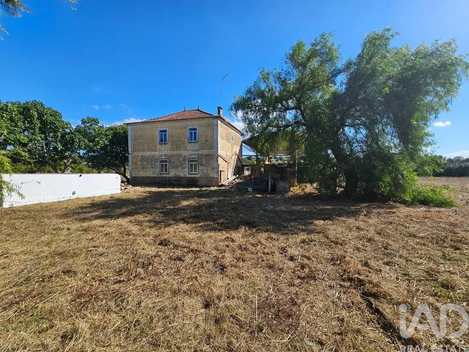 Farm i Torres Novas, Santarem - foto 2