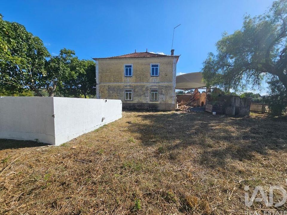 Farm i Torres Novas, Santarem - foto 3