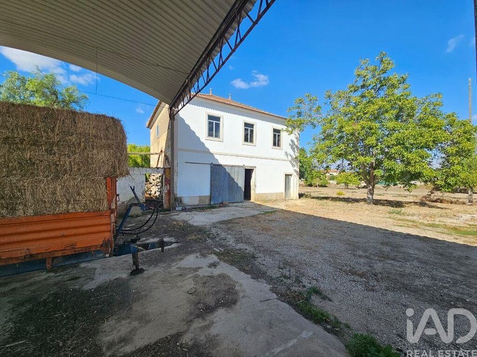 Farm i Torres Novas, Santarem - foto 4