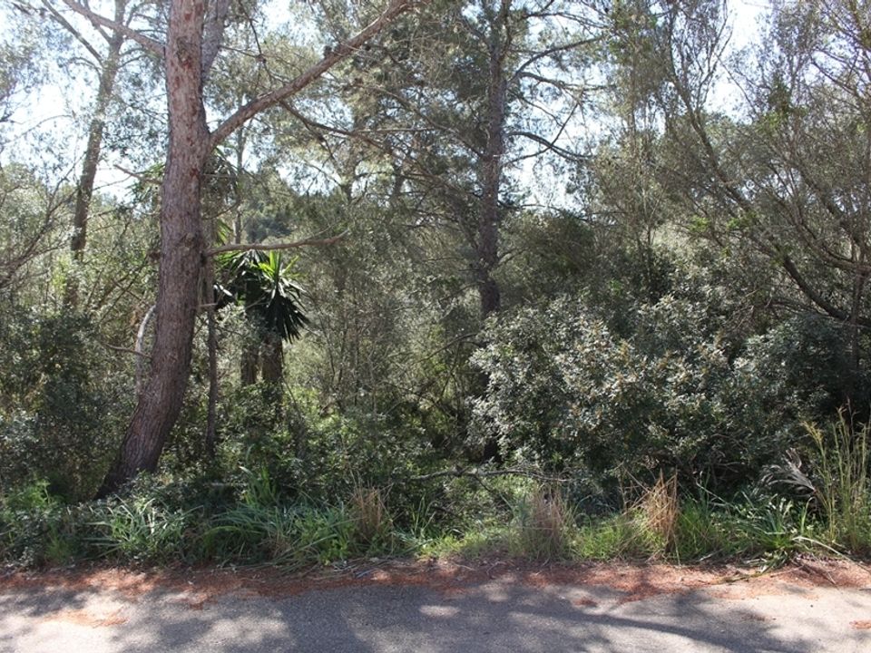 Helårsgrund i Cala Murada, Mallorca - foto 2