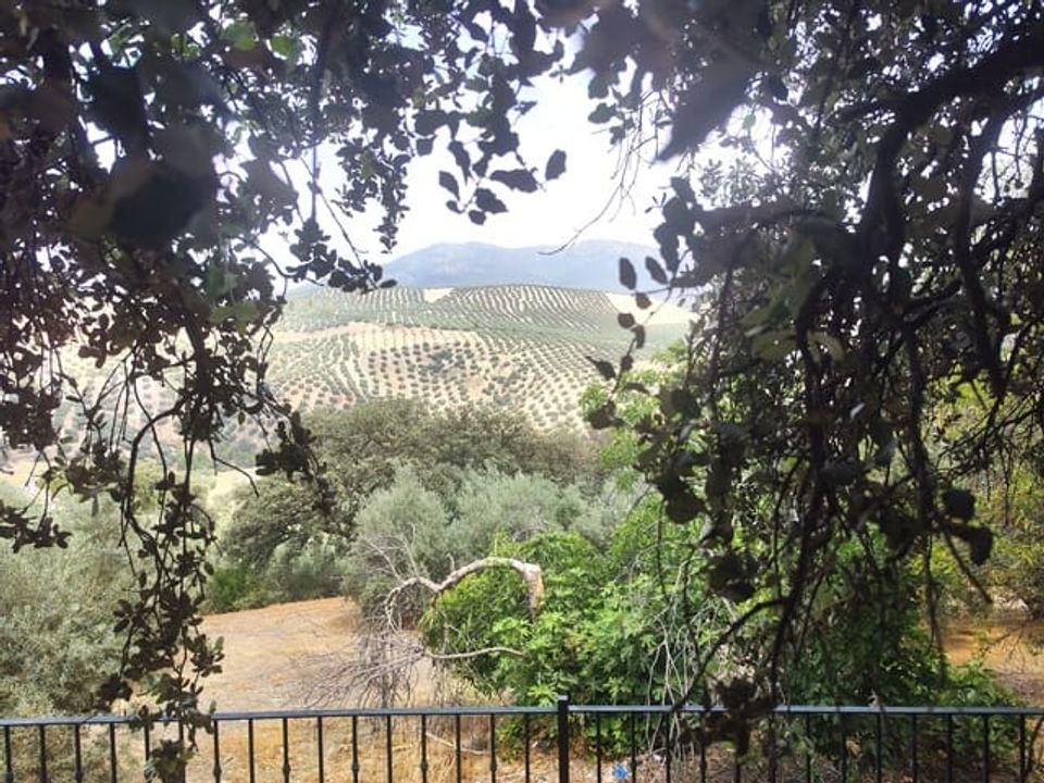 Rækkehus i Iznajar, Cordoba - foto 3