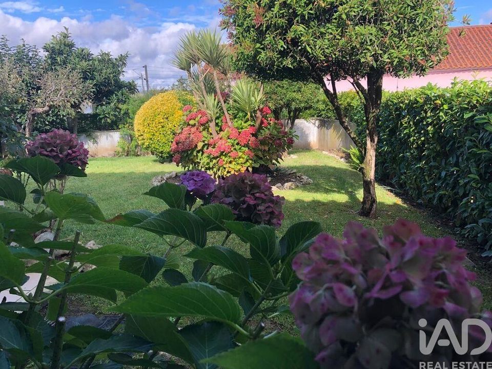 Casa de pueblo en Pombal, Leiria - foto 5
