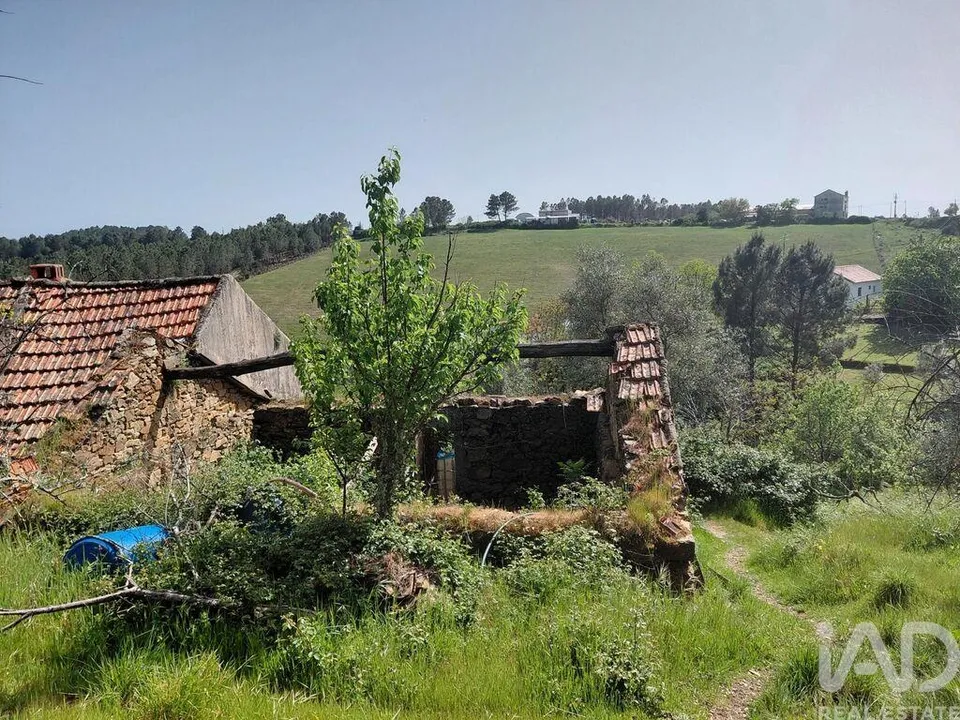 Fattoria Covilha, Castelo Branco - foto 1
